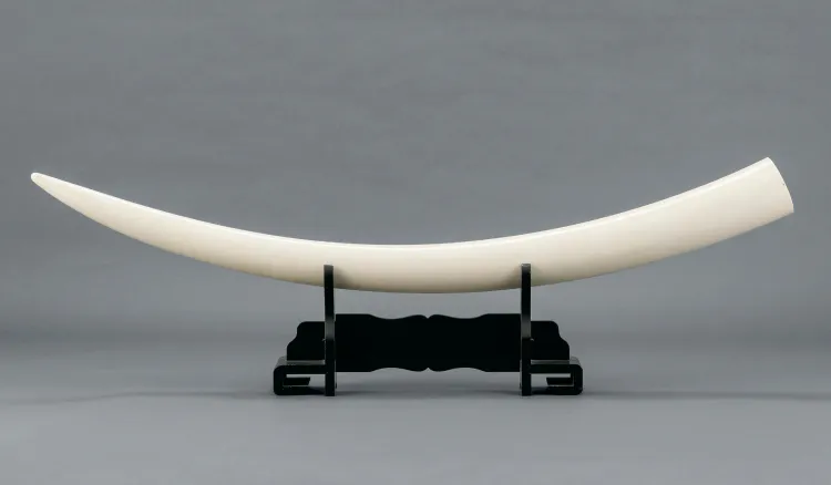 専門の骨董品