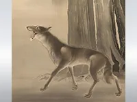 動物画