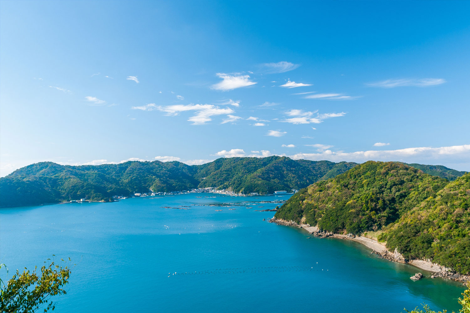 愛媛県