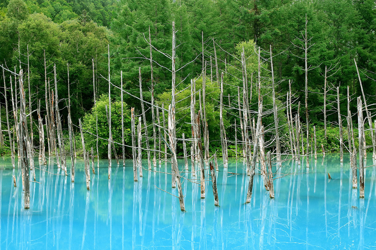 北海道