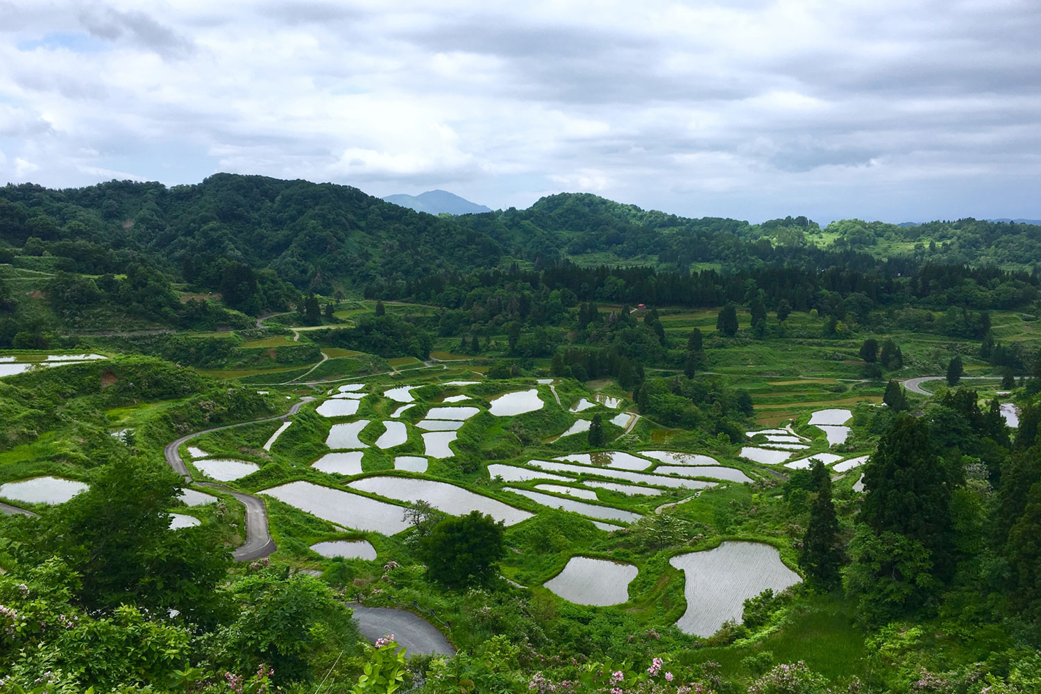 新潟県