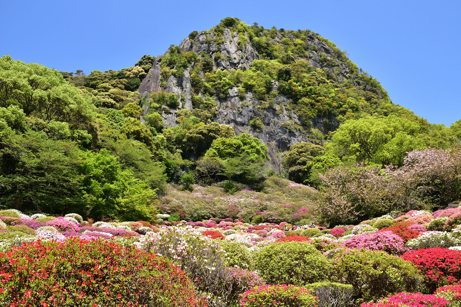 佐賀県