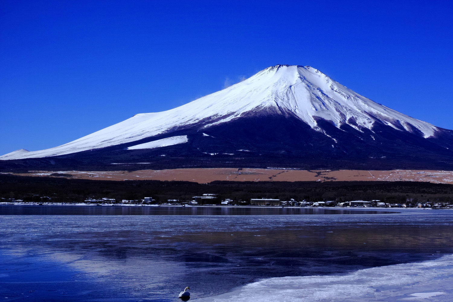 山梨県