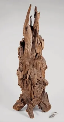 香木