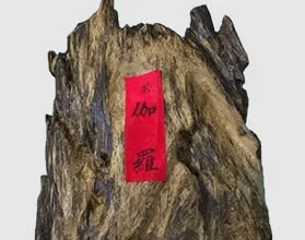 紫伽羅